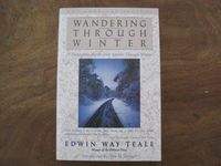 Wandering Through Winter