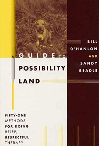Guide To Possibility Land