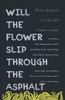 Will the Flower Slip Through the Asphalt?