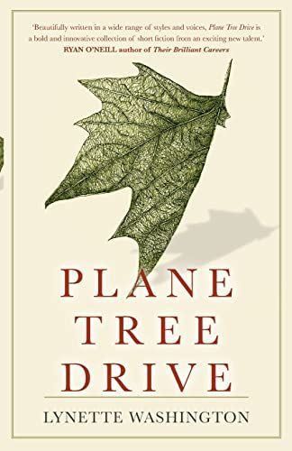 Plane Tree Drive