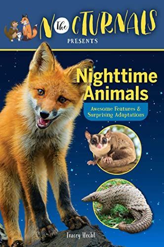 Nocturnals Presents Fun Nighttime Animals