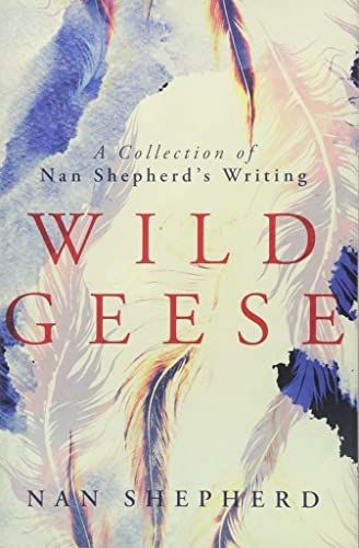 Wild Geese