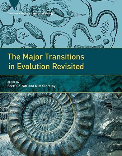 The major transitions in evolution revisited