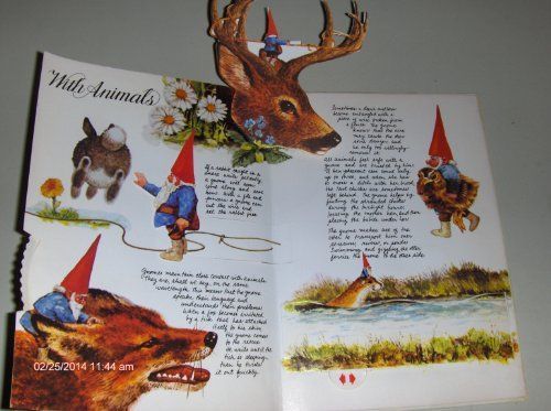 The Pop-up Book of Gnomes