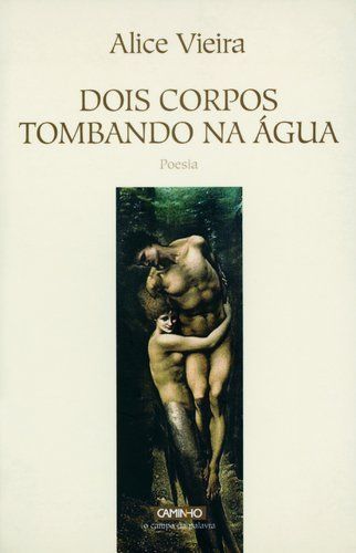 Dois corpos tombando na água