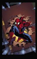 Untold Tales of Spider-Man Omnibus