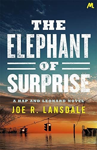 Elephant of Surprise