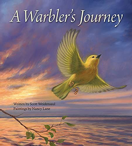 Warbler's Journey