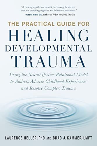 Practical Guide for Healing Developmental Trauma