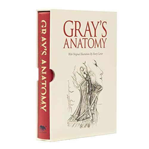 Gray's Anatomy