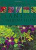 The Encyclopedia of Planting Combinations