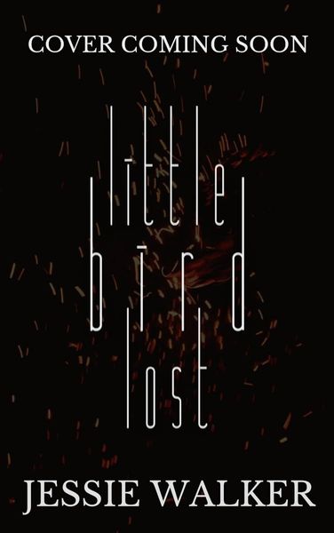 Little Bird Lost