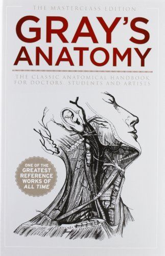 Anatomy