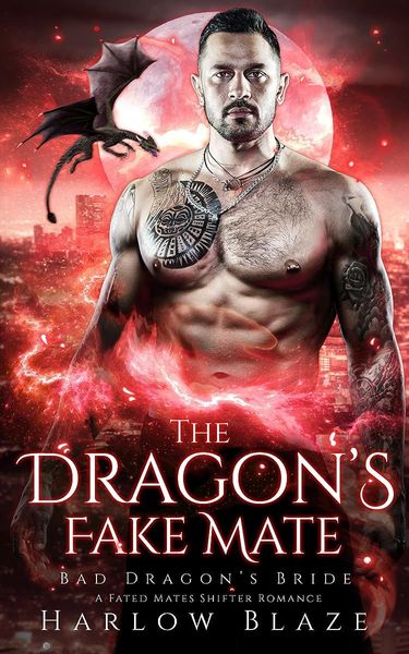The Dragon's Fake Mate