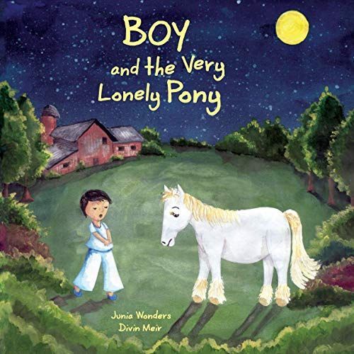 Boy and the Very Lonely Pony
