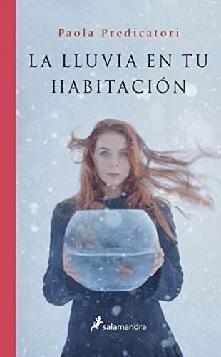 Lluvia en Tu Habitación