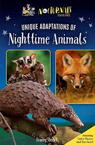 Nocturnals Explore Nighttime Animals