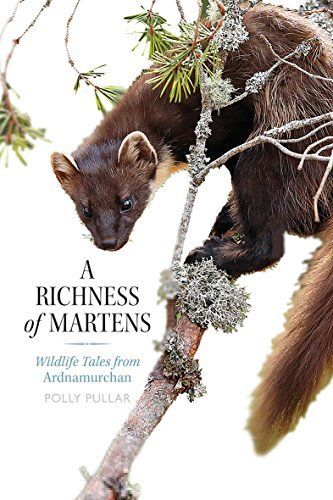 Richness of Martens