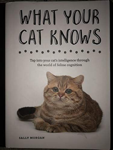 What Your Cat Knows