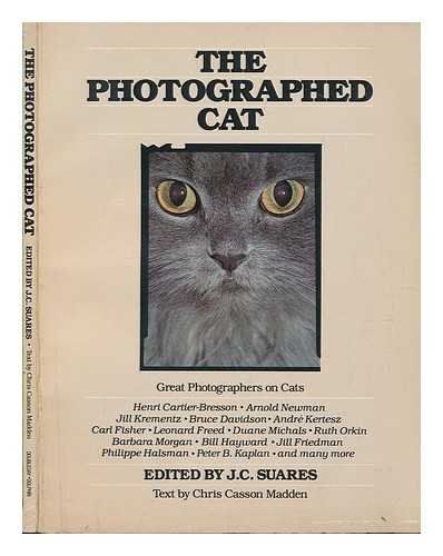 The Photographed Cat