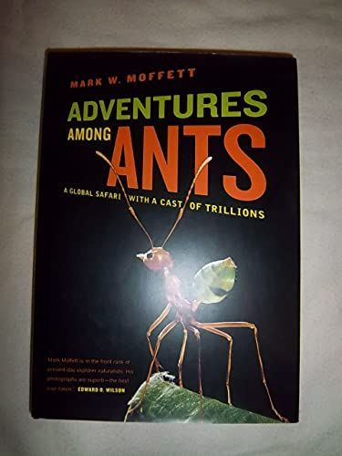 Adventures among ants
