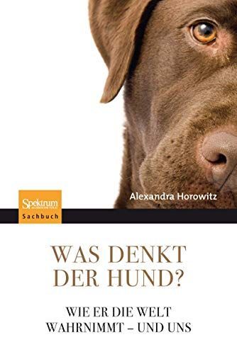 Was denkt der Hund?