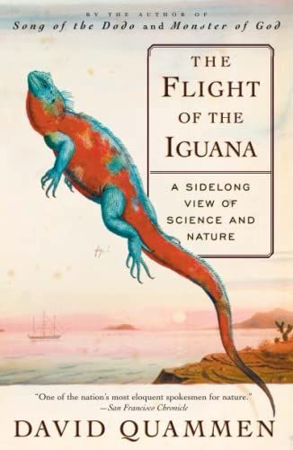 The flight of the iguana