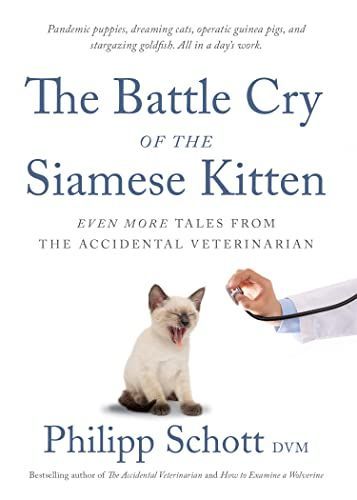 Battle Cry of the Siamese Kitten