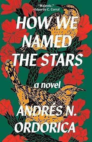 How We Named the Stars