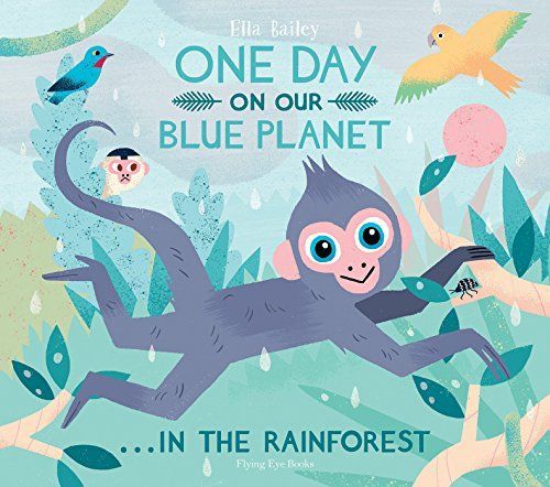 One day on our blue planet ... in the rainforest