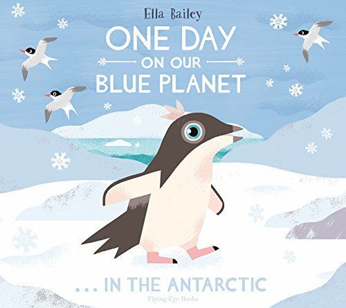 One day on our blue planet ... in the Antarctic