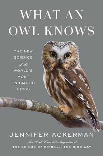 What an Owl Knows