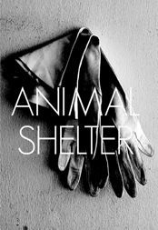 Animal Shelter 2