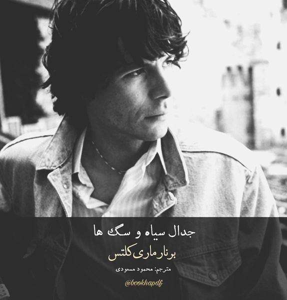 جدال سیاه و سگ ها