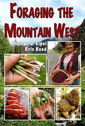 Foraging the Mountain West