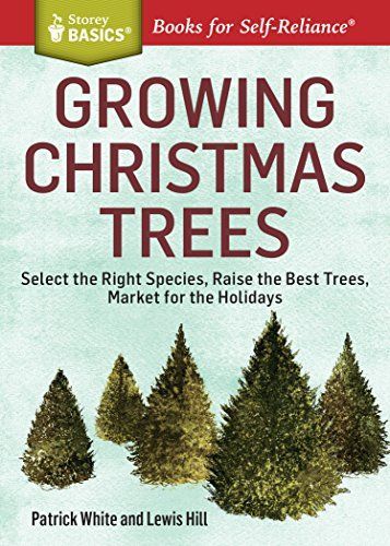 Growing Christmas trees