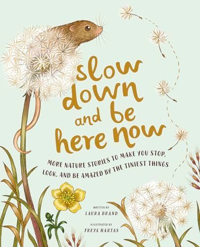 Slow down and Be Here Now