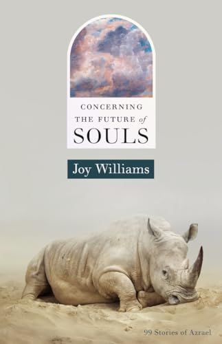 Concerning the Future of Souls