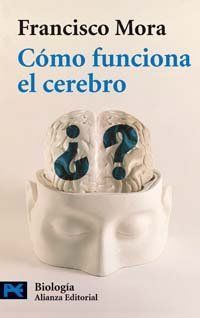 Como Funciona El Cerebro