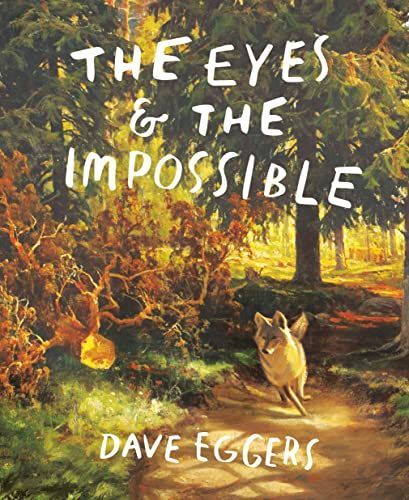 Eyes and the Impossible