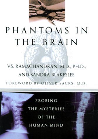 Phantoms in the Brain