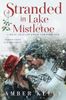 Stranded in Lake Mistletoe