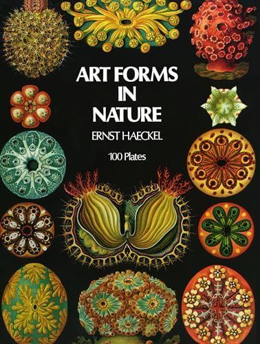 Art Forms in Nature