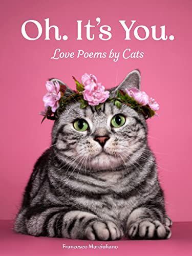 Oh. It's You