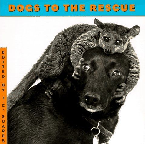 Dogs to the Rescue