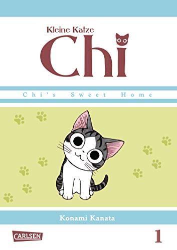 Kleine Katze Chi 01