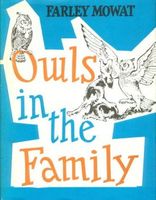 Owls in the Family