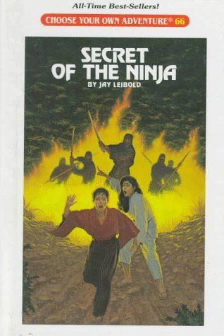Secret of the Ninja