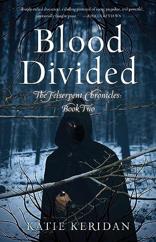 Realm Divided