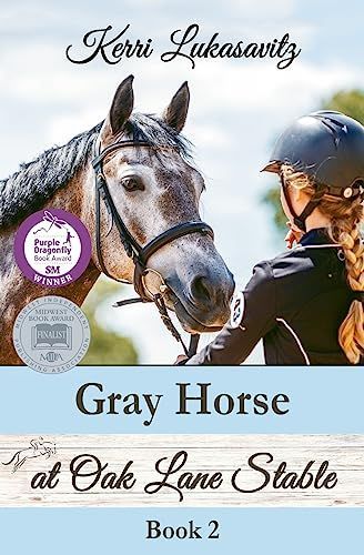 Gray Horse at Oak Lane Stable